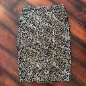 • The Limited Lace Skirt •